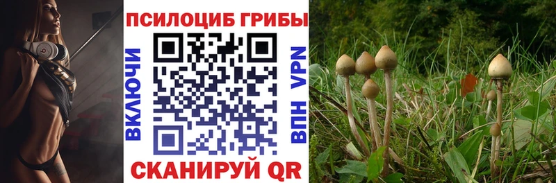 Галлюциногенные грибы прущие грибы  мориарти формула  Ейск 