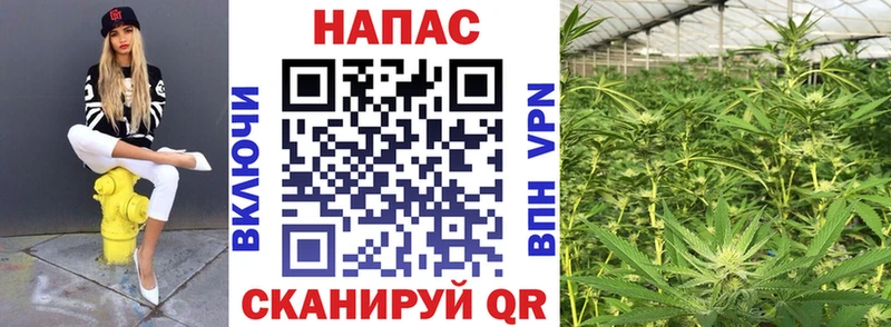 Бошки Шишки ГИДРОПОН Ейск